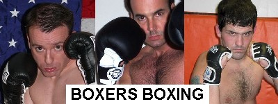 Boxers Boxing Photos Gallery