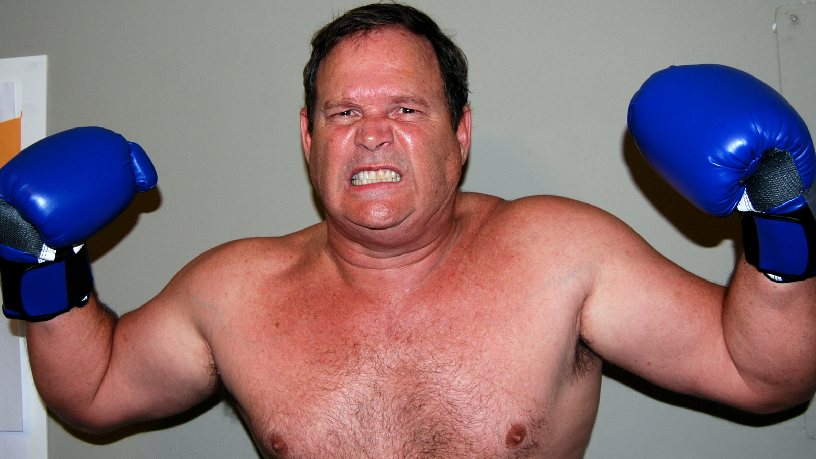 Boxers Fighting and Boxing Gallery